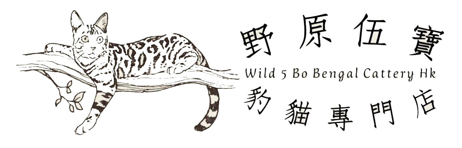 野原伍寶 香港豹貓專門店